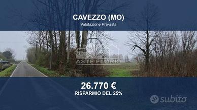 Immobile in asta di 14001 m² a Cavezzo