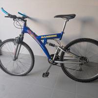 Splendida Mountain bike biammortozzata