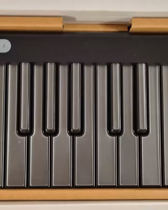 ROLI LUMI Keys Studio Edition: Come Nuovo