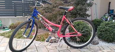 Bicicletta Rampichino 12 marce 26 pollici 