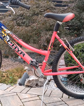 Bicicletta Rampichino 12 marce 26 pollici 