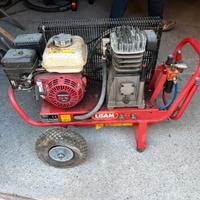 Abbacchiatore scuotitore ad aria LISAM