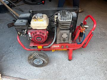 Abbacchiatore scuotitore ad aria LISAM