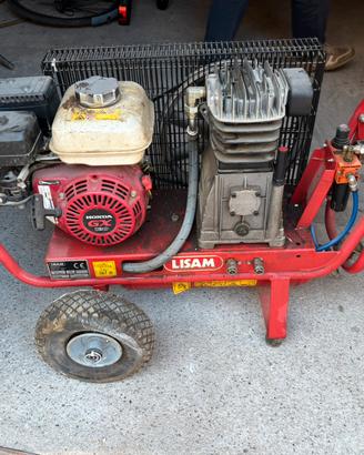 Abbacchiatore scuotitore ad aria LISAM