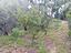 Immagine 26