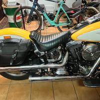 Scarico 2 in 2 BUB Arlen ness harley 1340