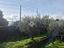 Immagine 30