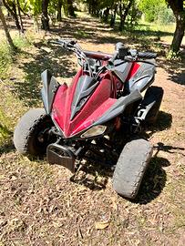 Quad 125 cc
