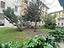 Immagine 19
