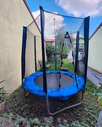 Trampolino elastico