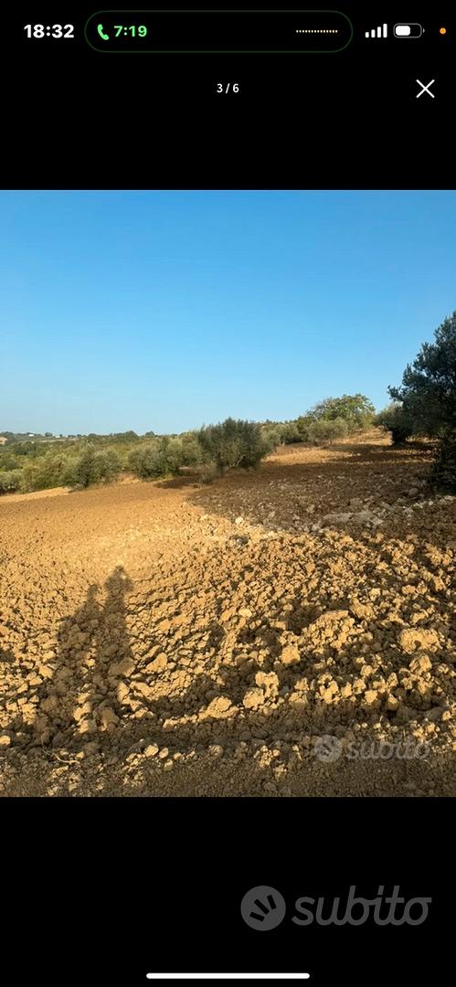 Terreno edificabile nella natura - Vista 5