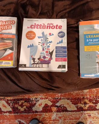 LIBRI SCOLASTICI 1 ANNO SCUOLA MEDIA 