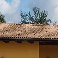 tegole per tetto