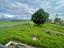 Immagine 24