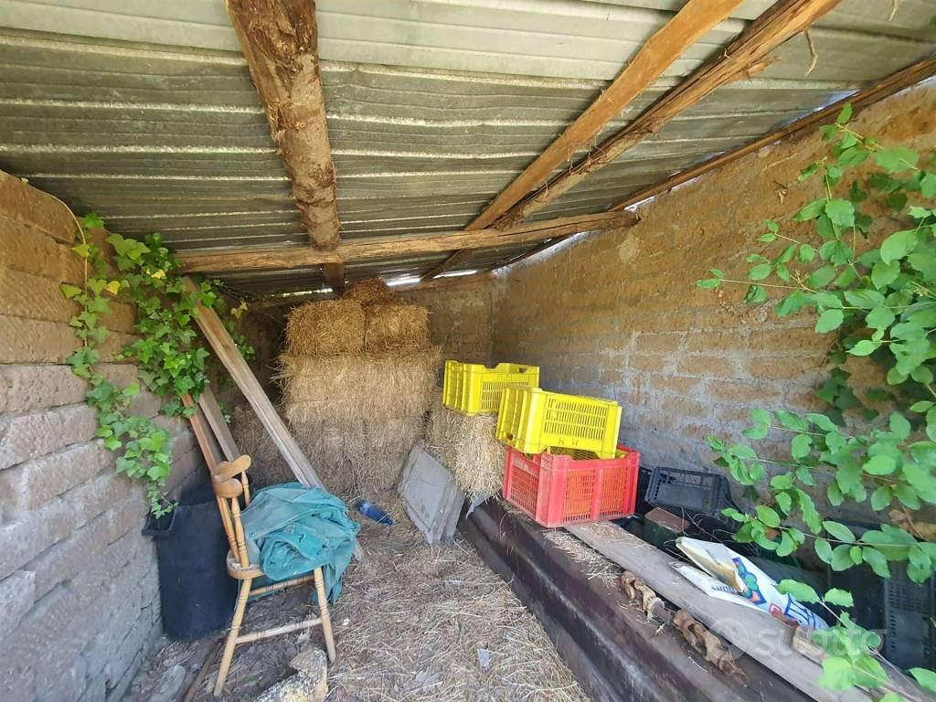 Terreno di 3039 m² a Vitorchiano - Vista 3