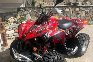 can am Renegade 500