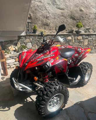 can am Renegade 500