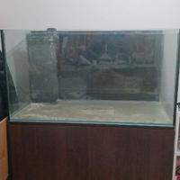 Acquario marino+ Mobile