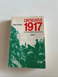Ortigara 1917: il sacrificio della sesta armata