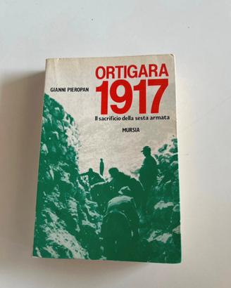 Ortigara 1917: il sacrificio della sesta armata