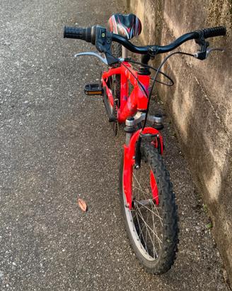 Bicicletta