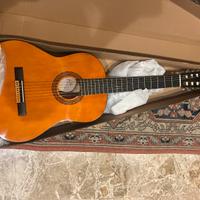 Chitarra Eko