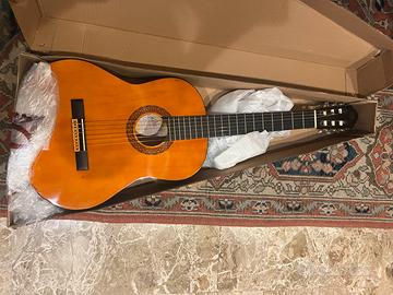 Chitarra Eko