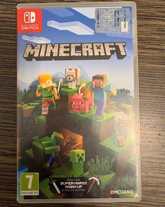 Minecraft Nintendo Switch