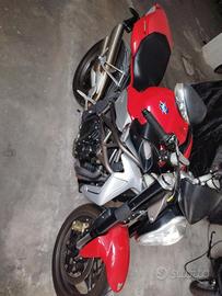 BRUTALE DI NOME E DI FATTO