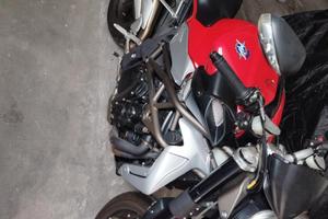 BRUTALE DI NOME E DI FATTO