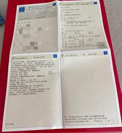 Fiat Panda Hybrid 1000