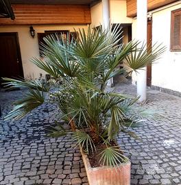 Monolocale bello
