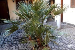 Monolocale bello