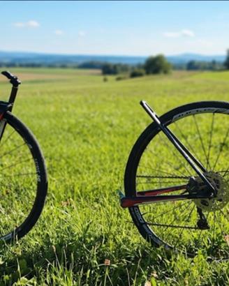 Set cerchi e gomme Dt Swiss 