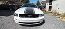 ford-mustang-4-0-cc-shelby