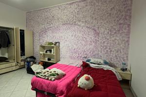 Ampia stanza doppia a Is Mirrionis