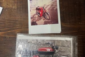 motorino morini.
