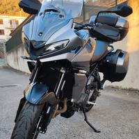 Triumph Tiger 660 sport -anno 2024