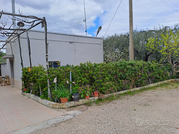 Terreno con fabbricato