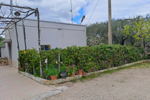 Terreno con fabbricato