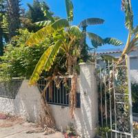 Condofuri (Villaggio Bonetti Park)