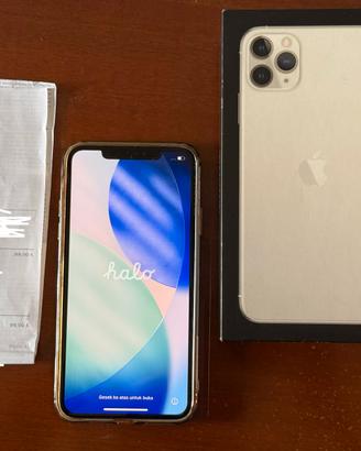 iPhone 11 Pro Max da 64GB color Argento (Bianco)