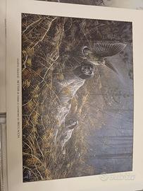 stampa artistica setter inglese beccaccia