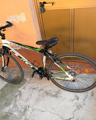 MTB olmo buci adulto