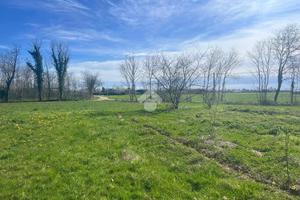 TER. AGRICOLO A CERRIONE
