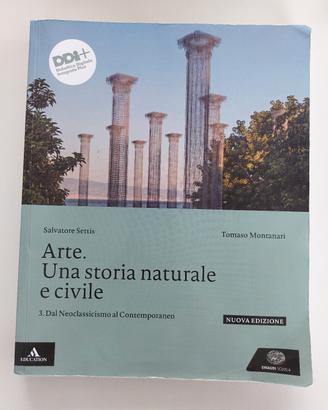 Arte. Una storia naturale e civile