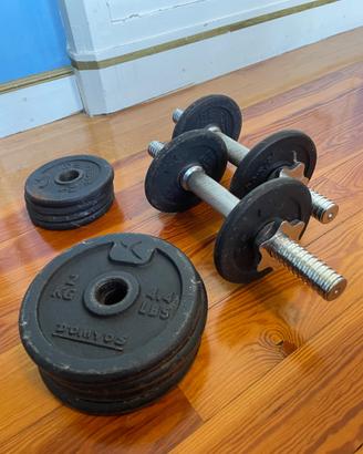 Pesi palestra