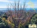 vista-mare-valle-mq-70-ristrutturato