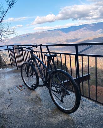 Rockrider ST50 sport trail Bicicletta 