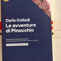 Libro “Le avventure di pinocchio”